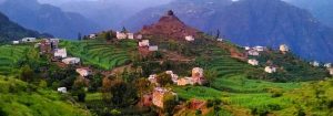محافظة ريمه الجبين