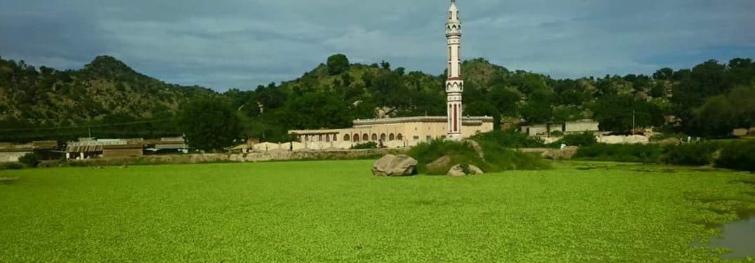 مدينة رشاد في السودان 1 مدينة رشاد في السودان