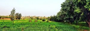 ناحية العلم في محافظة صلاح الدين