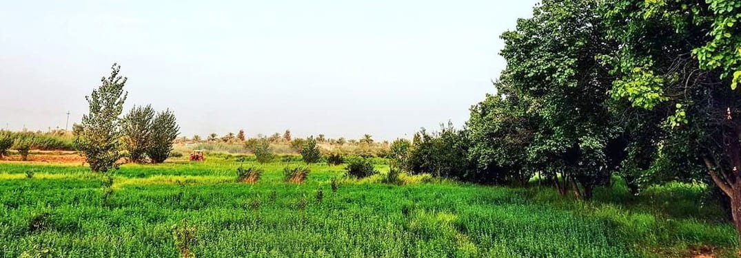ناحية العلم في محافظة صلاح الدين