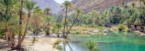 ولايات محافظة شمال الشرقية
