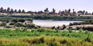 محليه القولد في السودان