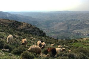 منطقة حسبان في محافظة عمان