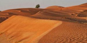 ولاية السنينة في سلطنة عمان