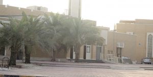 منطقة القصور في مدينة مبارك الكبير