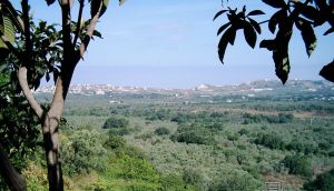 مدينة الكوة السودانية