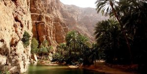 ولايات محافظة جنوب الشرقية في عمان