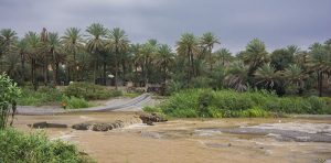 ولاية سمائل في سلطنة عمان