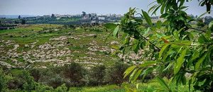 منطقة شارع فوعرا في محافظة إربد