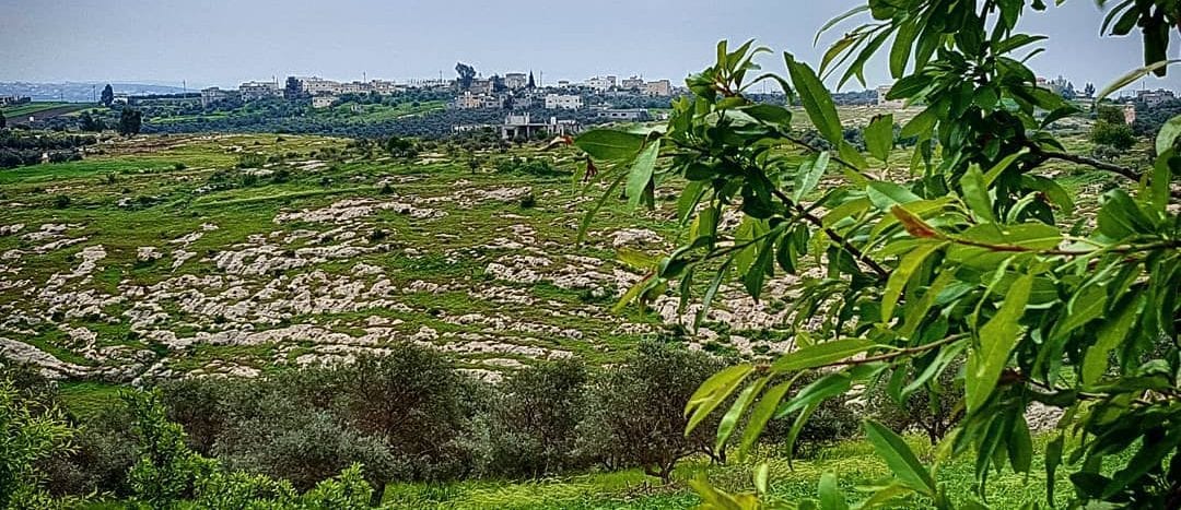 منطقة شارع فوعرا في محافظة إربد 1 منطقة شارع فوعرا في محافظة إربد