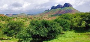 ولاية شمال دارفور في السودان