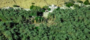 تقسيم ولاية ضنك في سلطنة عمان
