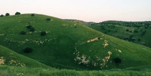 قرية كفر راكب في محافظة إربد