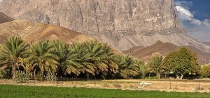 تقسيم ولاية عبري في سلطنة عمان