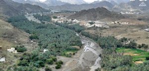 ولاية ينقل في سلطنة عمان