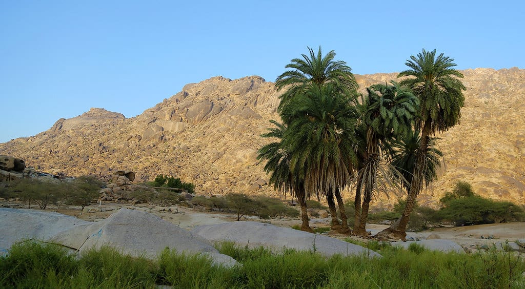 مدينة ناوان 1 مدينة ناوان