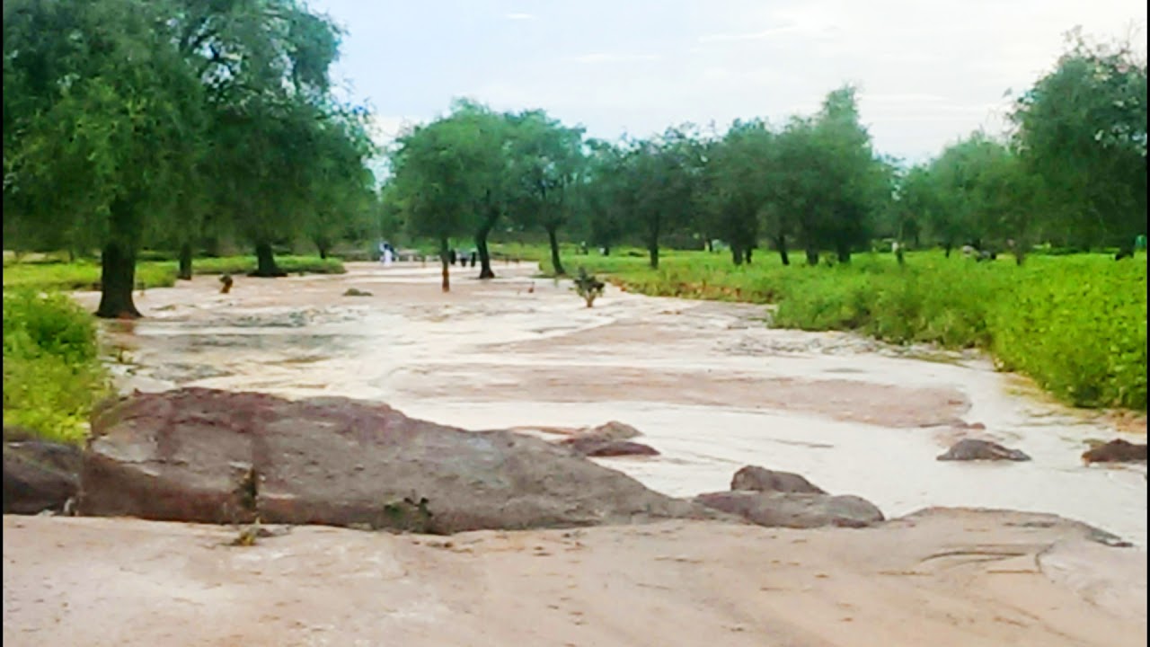 مدينة كلبس في السودان 1 مدينة كلبس في السودان