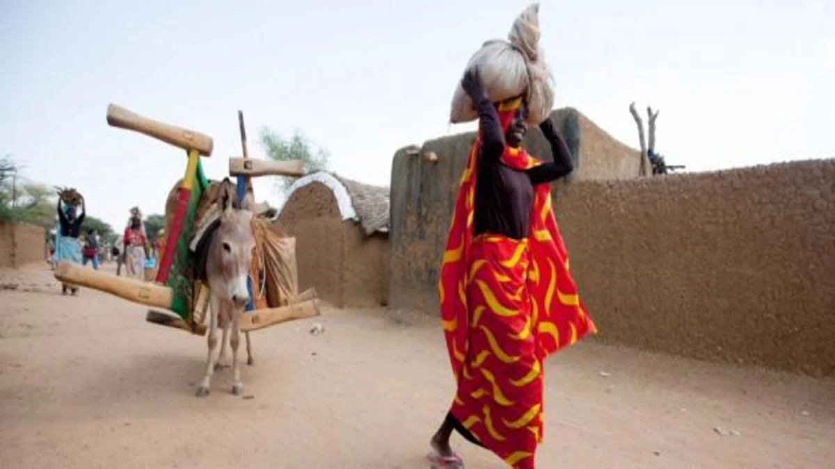 مدينة مليط في السودان