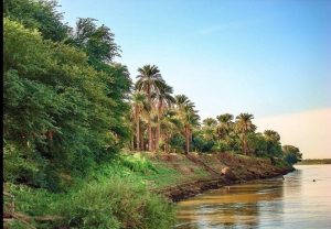 محلية الدبة في السودان