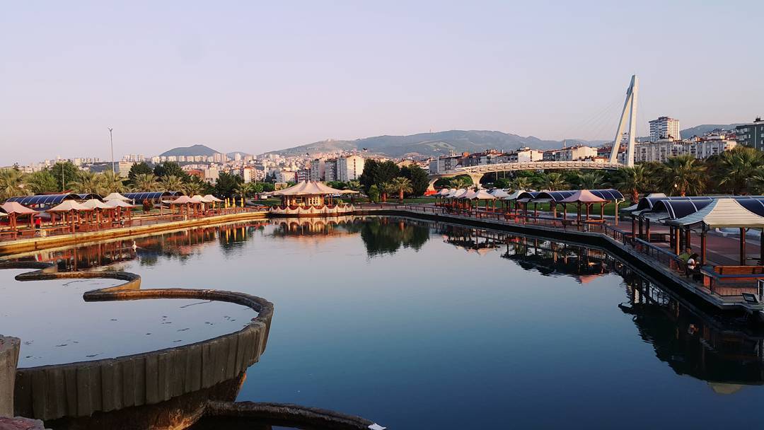 أحياء مدينة سامسون