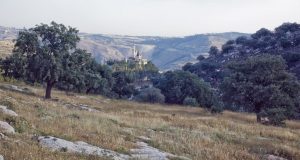 وادي الشتا