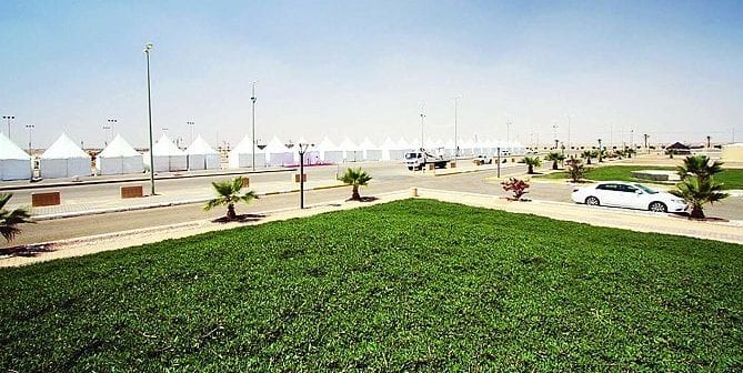 محافظة عقلة الصقور 1 محافظة عقلة الصقور