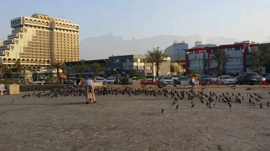 مناطق جدة الراقية 5 حي الحمراء