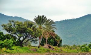 محلية ود الماحي في السودان