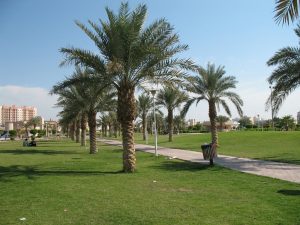 منطقة الجابرية في مدينة حولي
