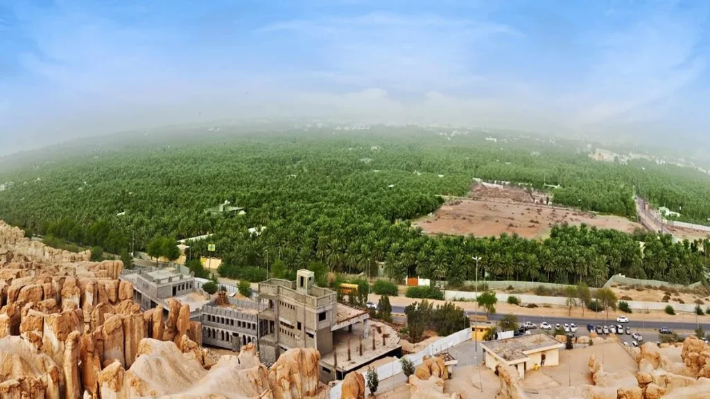 أهم مدن شمال السعودية