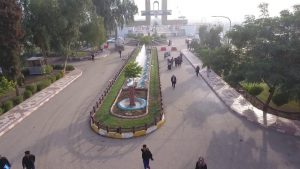 جامعة بابل
