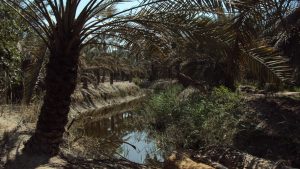 مدينة أبو الخصيب في محافظة البصرة