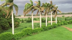 ولاية الجزيرة في السودان