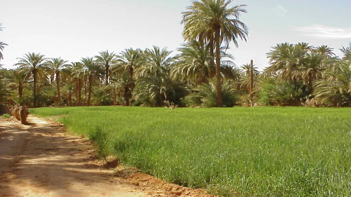 ولاية الشمالية في السودان