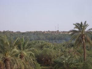 معلومات عن الواحات البحرية
