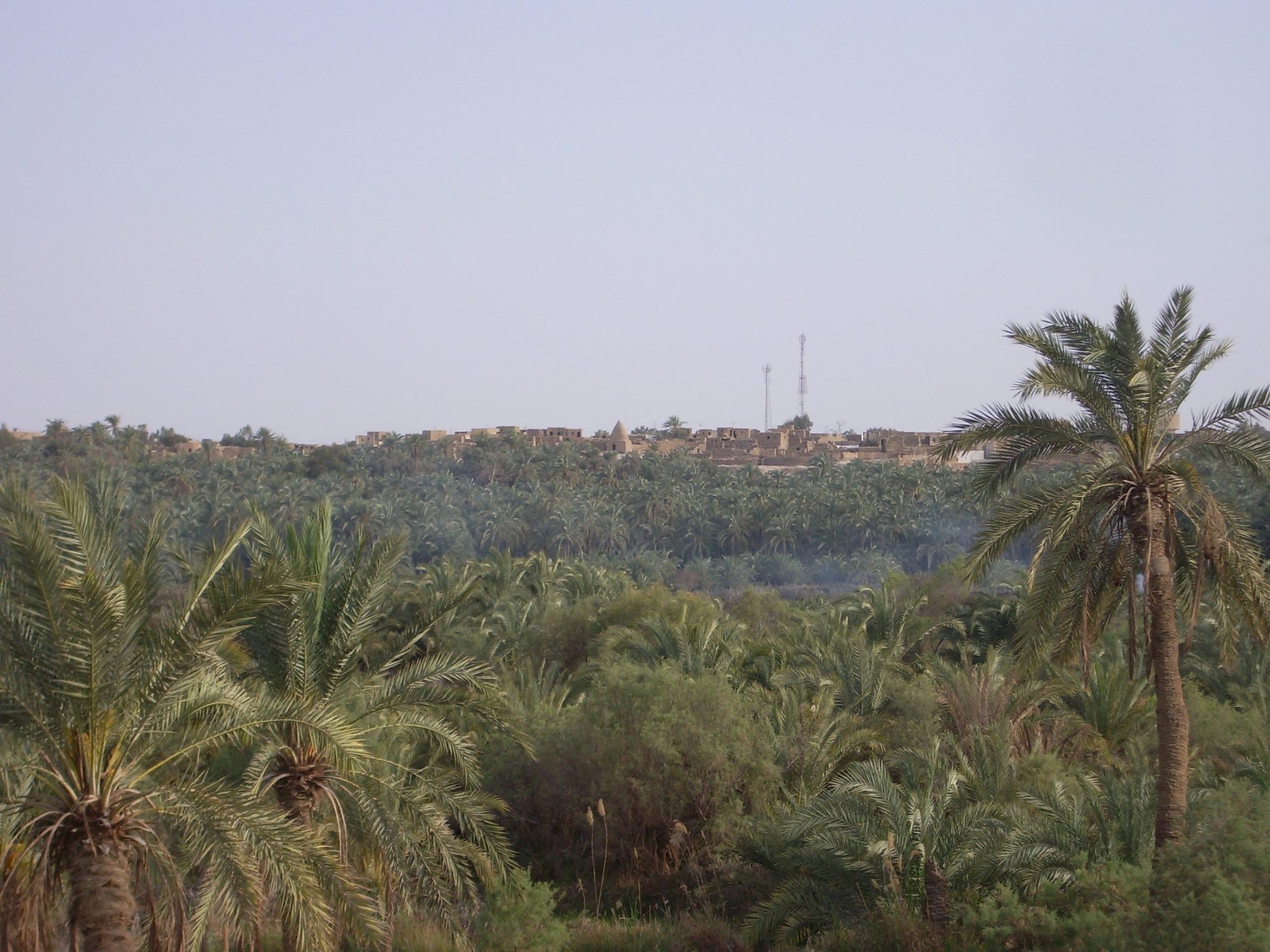 معلومات عن الواحات البحرية