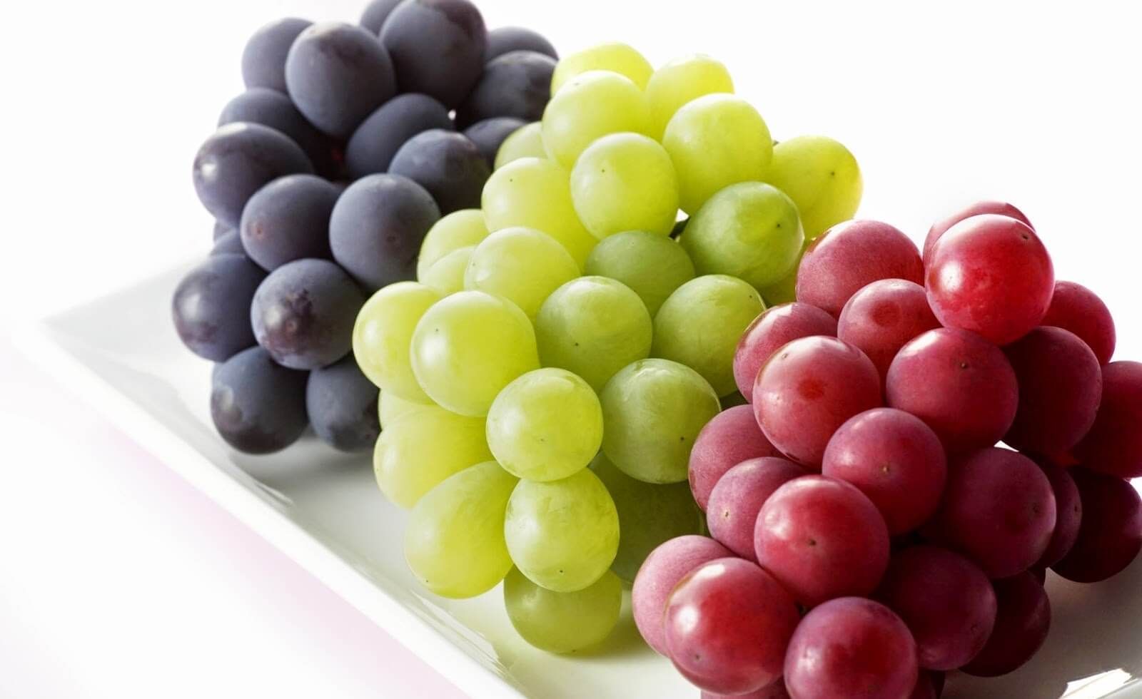 زراعة العنب من البذور 1 زراعة العنب من البذور