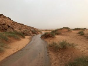 مدينة ضرية