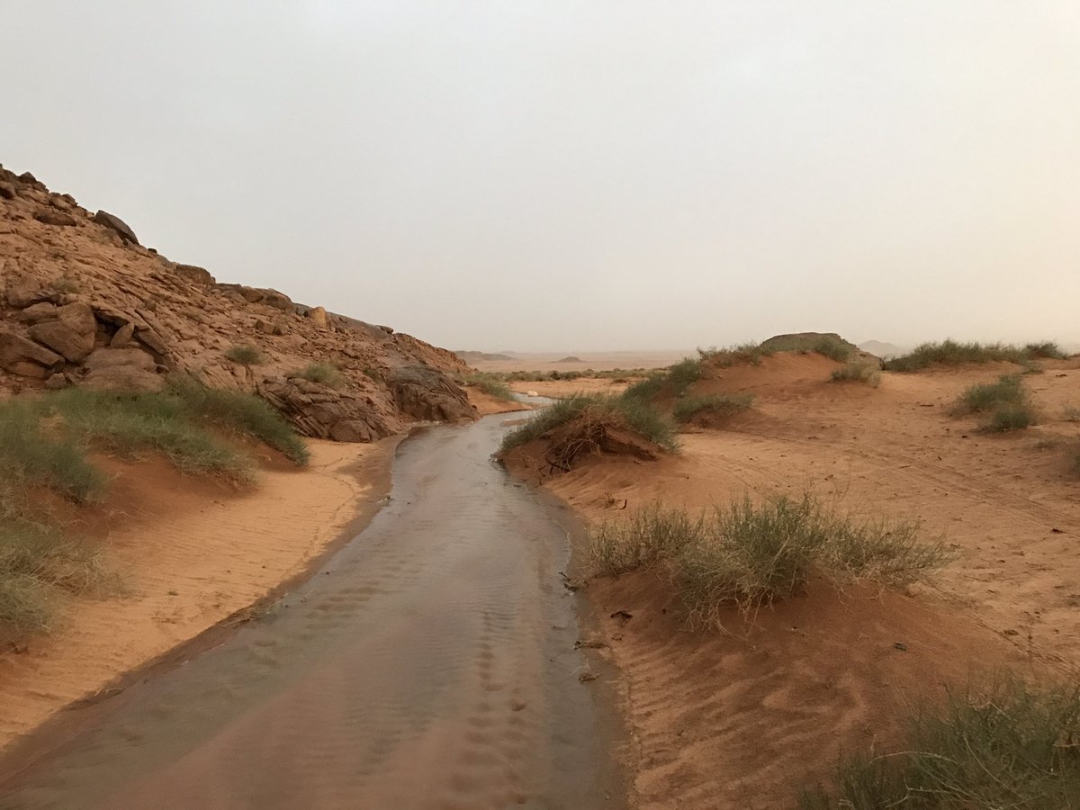مدينة ضرية 1 مدينة ضرية