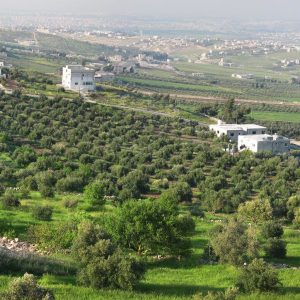 منطقة المطلع في محافظة إربد