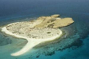 معلومات عن جزيرة فرسان