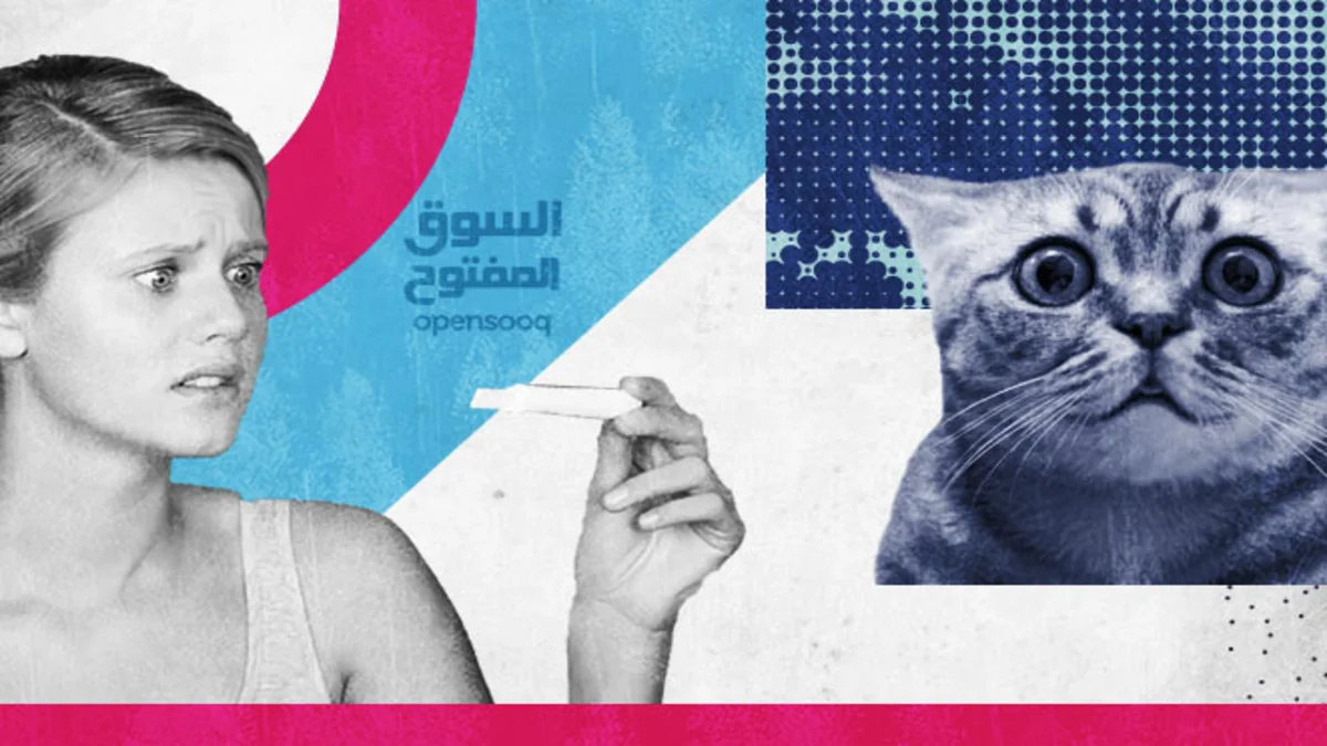كيف أعرف أن قطتي حامل 1 كيف أعرف أن قطتي حامل
