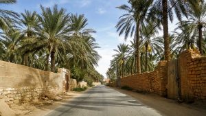 مدينة سيدي خالد