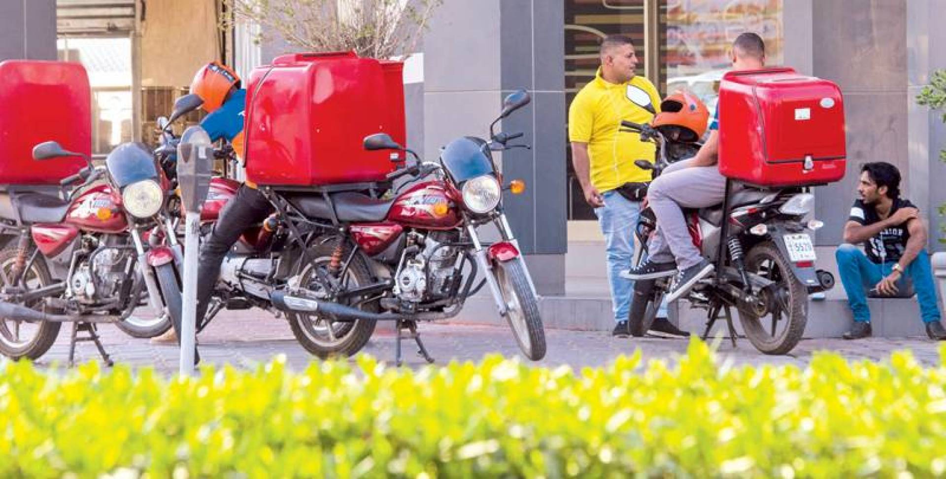 مشروع الدليفري 1 مشروع الدليفري