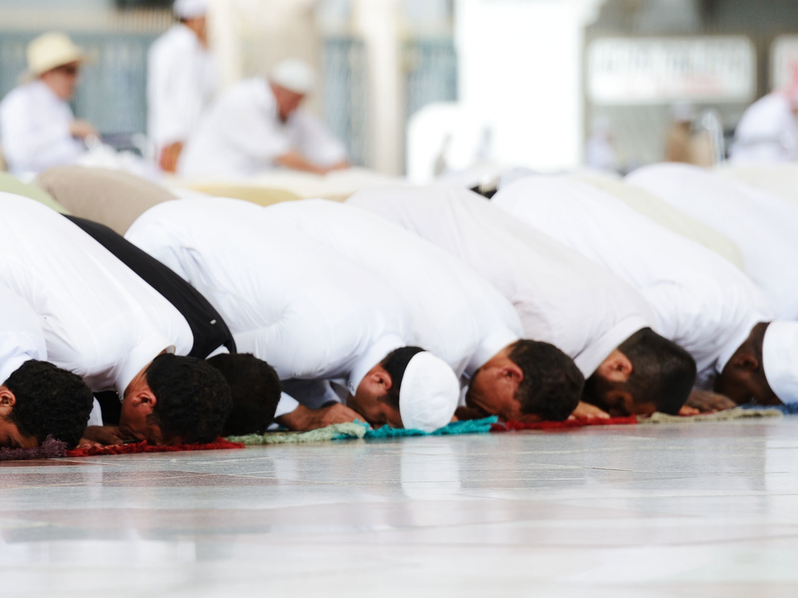 كيف فرضت الصلاة 2 كيف فرضت الصلاة 1