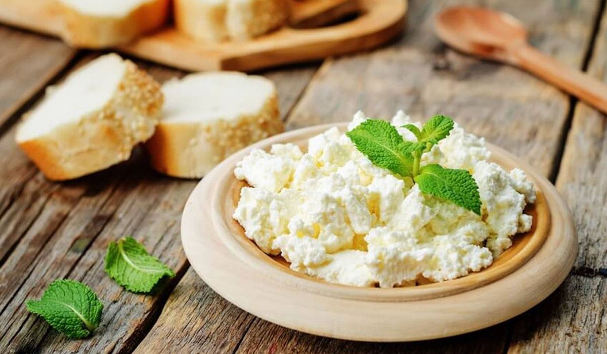 السعرات الحرارية في الجبنة القريش 1 السعرات الحرارية في الجبنة القريش