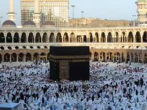 بحث عن الحج