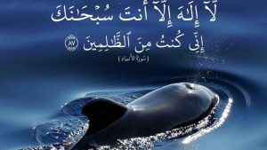 كيف عاش سيدنا يونس في بطن الحوت