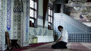 هل الشفع والوتر من قيام الليل