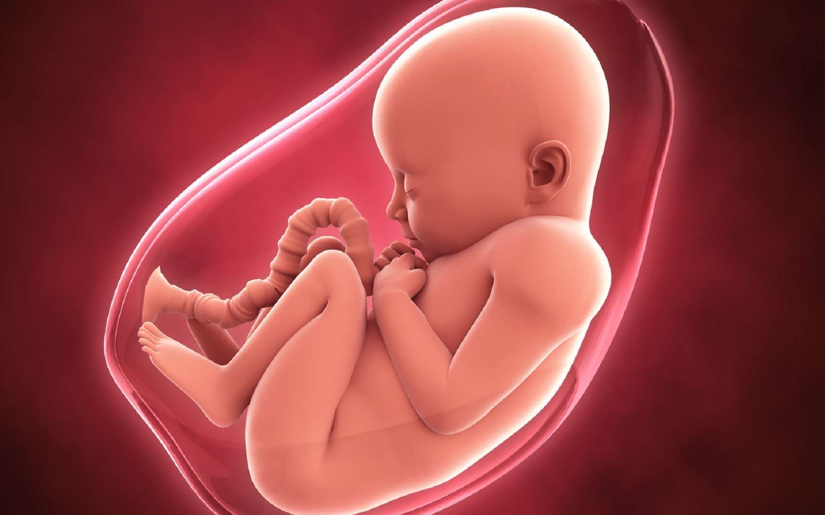 كيف أعرف نوع الجنين 1 كيف أعرف نوع الجنين